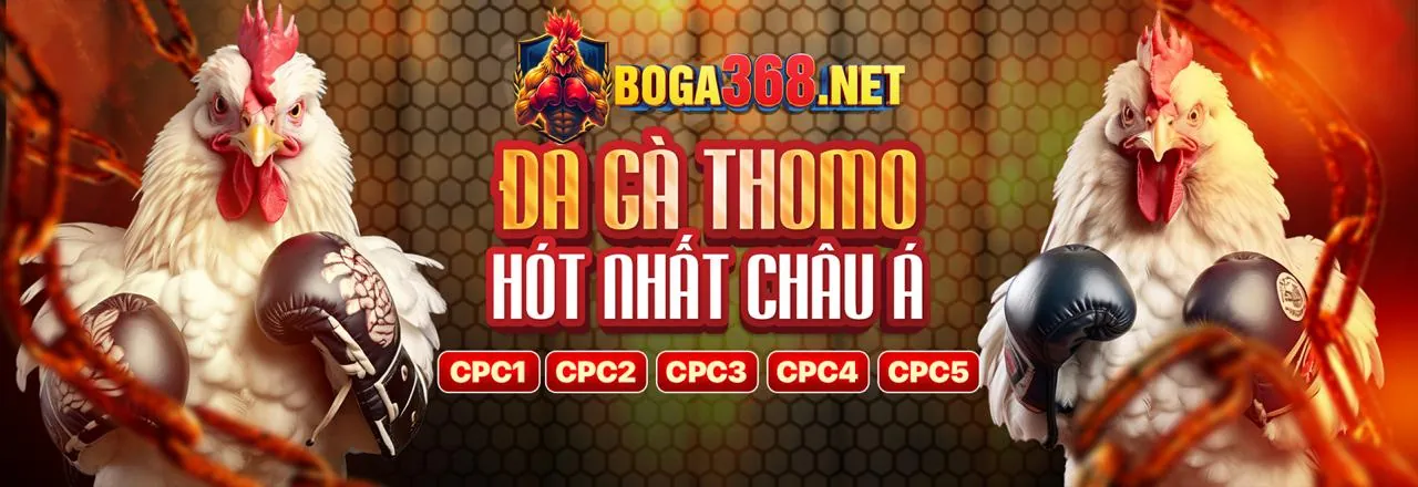 Hình ảnh chính Vina88 Code 2026, nền tảng giải trí trực tuyến hàng đầu