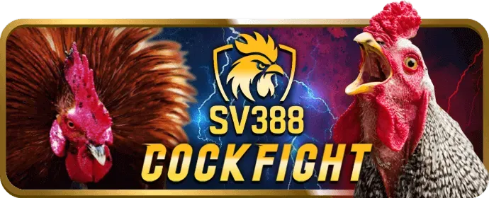 Bảo mật Vina88 Code